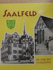 Gerhard Werner - Saalfeld [antikvár]