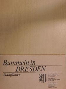 Heinz-Rodolf Renelt - Bummeln in Dresden [antikvár]