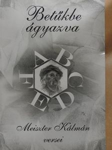 Meiszter Kálmán - Betűkbe ágyazva [antikvár]