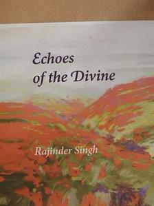 Rajinder Singh - Echoes of the Divine [antikvár]