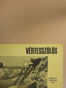 T. Dobosi Viola - Vértesszőlős [antikvár]