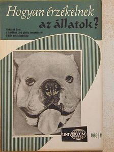 Hogyan érzékelnek az állatok? [antikvár]
