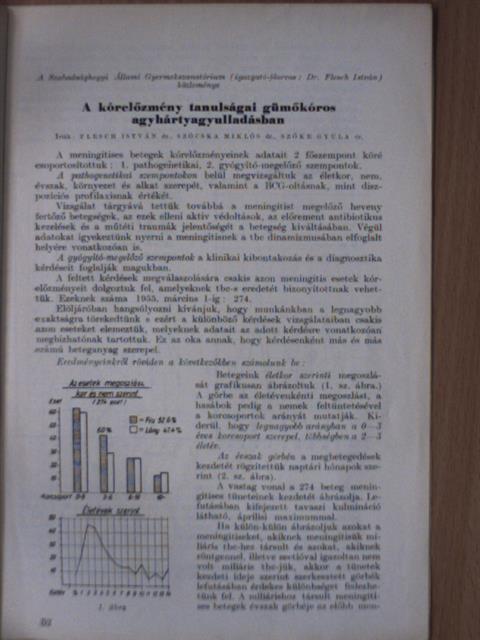 Dr. Flesch István - A kórelőzmény tanulságai gümőkóros agyhártyagyulladásban [antikvár]