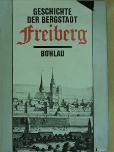 Ingrid Fehrmann - Geschichte der Bergstadt Freiberg [antikvár]
