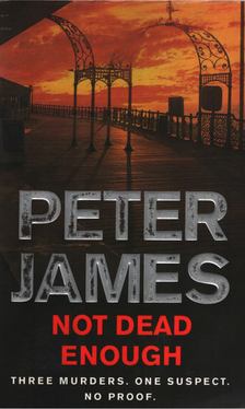 Peter James - Not Dead Enough [antikvár]