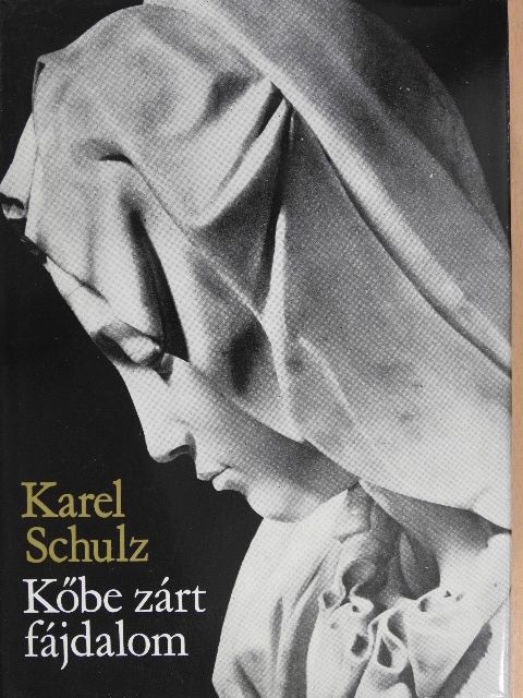 Karel Schulz - Kőbe zárt fájdalom [antikvár]