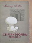 Bessenyei Zoltán - Csiperkegomba termelése [antikvár]