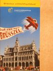 Török Orsolya - Csak egy ugrás Brüsszel [antikvár]