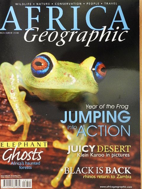 Africa Geographic November 2008 [antikvár]