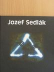 Duane Michals - Jozef Sedlák [antikvár]