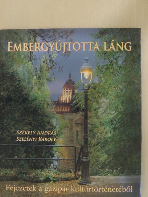 Székely András - Embergyújtotta láng [antikvár]