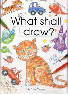 Ray Gibson - What shall I draw? [antikvár]