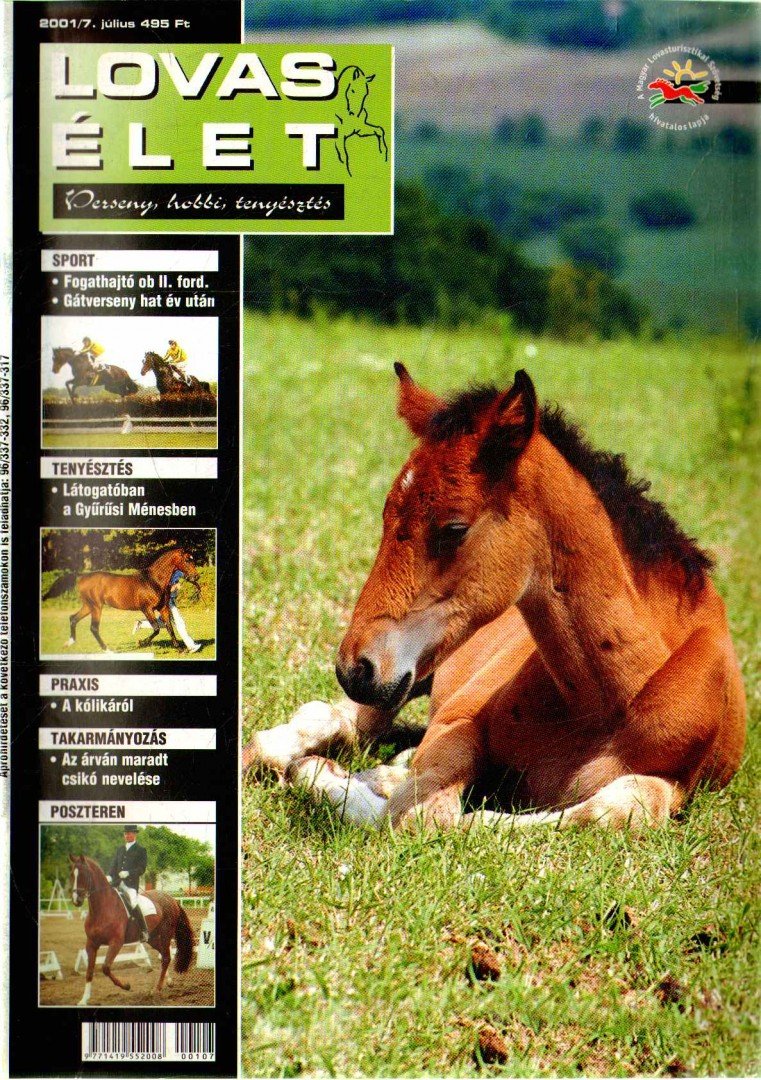 Lovasélet 2001/7. [antikvár]