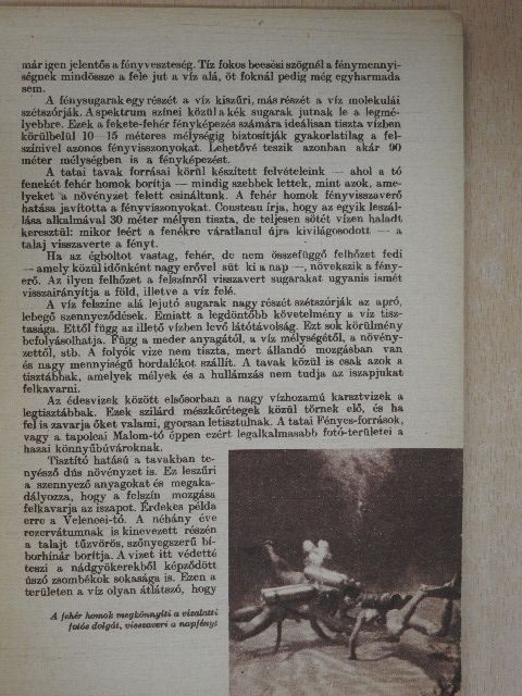 Hajdú László - Vízalatti titkok nyomában [antikvár]