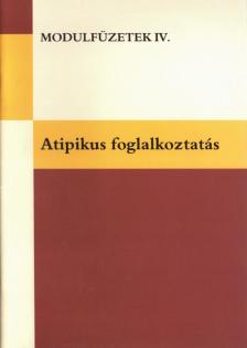Csabai István, Dr. Lénárt Szilvia - Atipikus foglalkoztatás [antikvár]