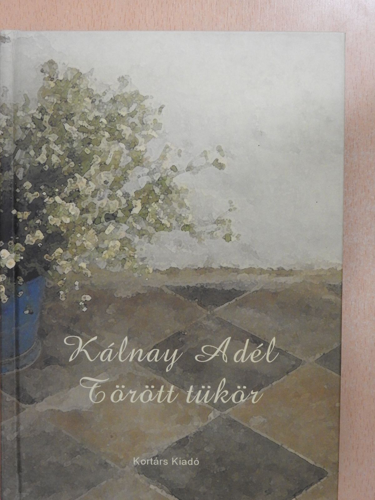 Kálnay Adél - Törött tükör (dedikált példány) [antikvár]