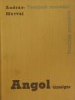 András László - Angol társalgási zsebkönyv [antikvár]