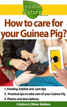 Olivier Rebiere Cristina Rebiere, - How to care for your Guinea Pig? - Small digital guide to take care of your pet [eKönyv: epub, mobi]