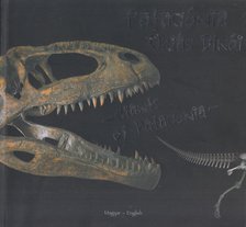 Fabio Frachtenberg, Jorge Calvo, Oscar A. Frachtenberg - Patagónia óriás dinói - Giants of Patagonia [antikvár]