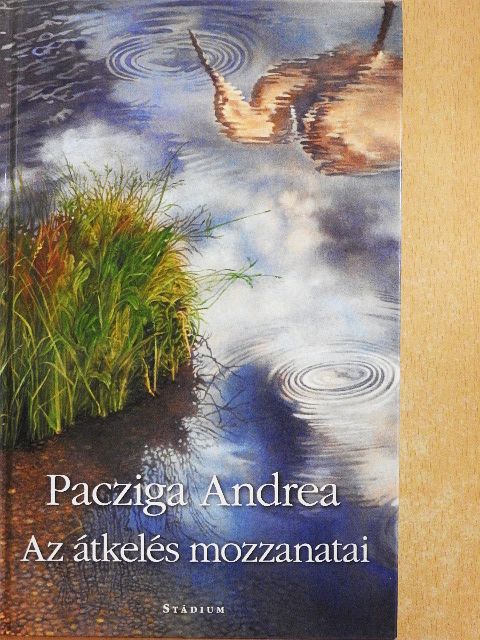 Pacziga Andrea - Az átkelés mozzanatai [antikvár]