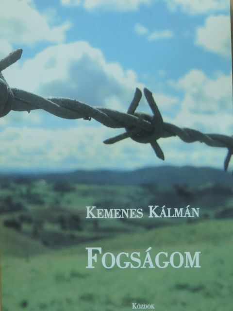Kemenes Kálmán - Fogságom [antikvár]