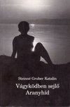 Steinné Gruber Katalin - Vágyködben sejlő Aranyhíd [antikvár]