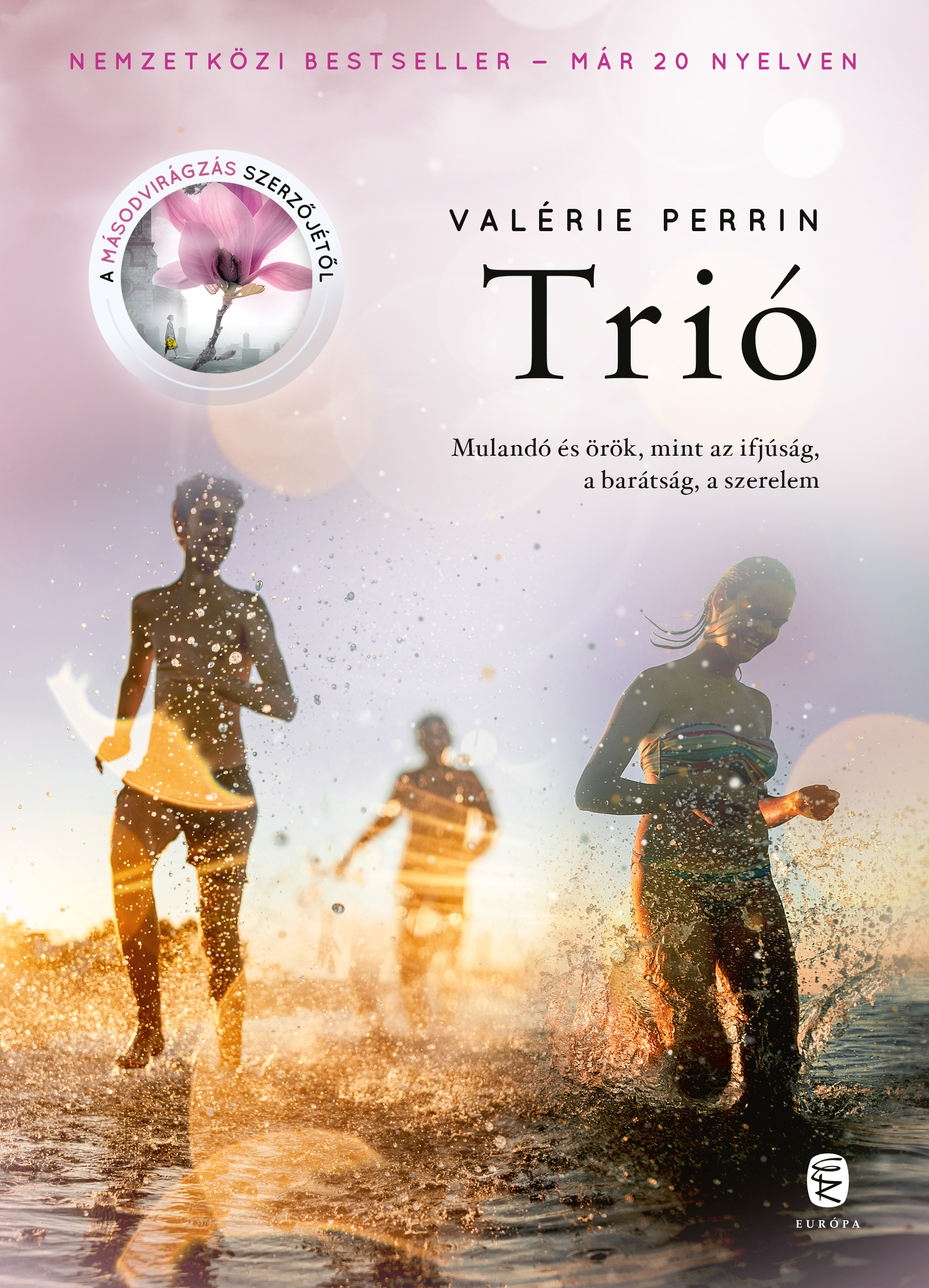 Valérie Perrin - Trió [eKönyv: epub, mobi]