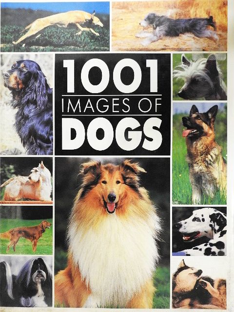 1001 images of dogs [antikvár]