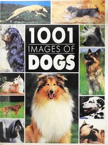 1001 images of dogs [antikvár]