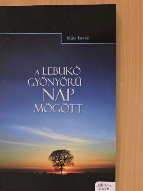 Máté István - A lebukó gyönyörű nap mögött [antikvár]
