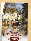 Gál Anita - Hatvani Kalendárium 2015. - DVD-vel [antikvár]