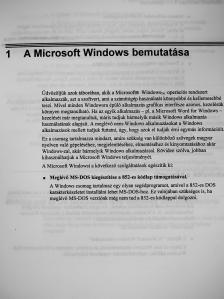 Microsoft Windows Operációs Rendszer 3.1-es verzió [antikvár]