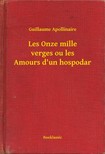 GUILLAUME APOLLINAIRE - Les Onze mille verges ou les Amours d'un hospodar [eKönyv: epub, mobi]