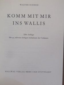 Walter Schmid - Komm mit mir ins Wallis [antikvár]