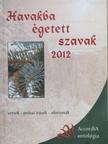 Aranyi Zsuzsanna - Havakba égetett szavak 2012 [antikvár]