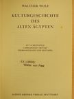 Walther Wolf - Kulturgeschichte des Alten Ägypten [antikvár]