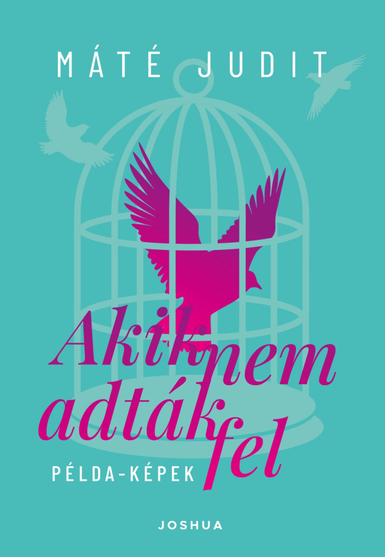 Máté Judit - Akik nem adták fel - Példa-képek