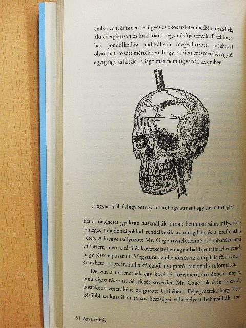 Dr. Austin Perlmutter - Agytisztítás [antikvár]