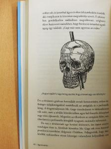 Dr. Austin Perlmutter - Agytisztítás [antikvár]