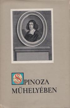 Nádor György - Spinoza műhelyében [antikvár]