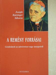 Joseph Ratzinger - A remény forrásai [antikvár]