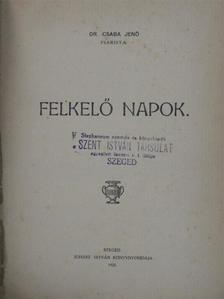 Dr. Csaba Jenő - Felkelő napok [antikvár]