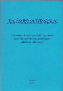 Ungárné dr. Komoly Judit - Hatékonyságvizsgálat [antikvár]