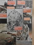 Dr. Futó József - Természettudományi Közlöny 1961. (nem teljes évfolyam) [antikvár]
