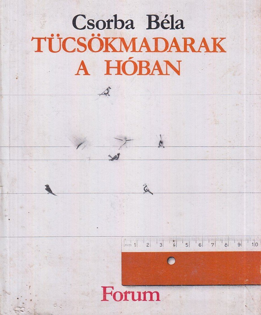 CSORBA BÉLA - Tücsökmadarak a hóban [antikvár]