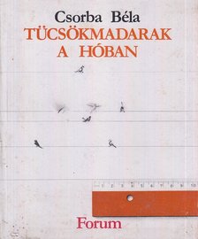 CSORBA BÉLA - Tücsökmadarak a hóban [antikvár]