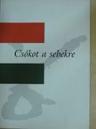 Buzogány Dezső - Csókot a sebekre [antikvár]