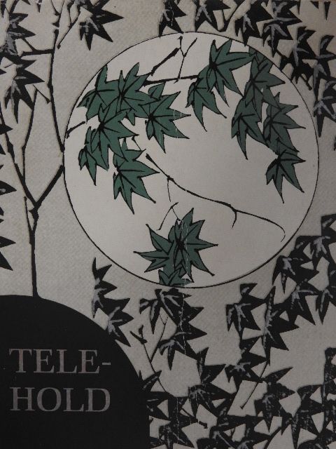 Akisuke - Telehold [antikvár]