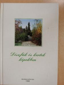 Dr. Schmidt Gábor - Díszfák és kertek képekben [antikvár]