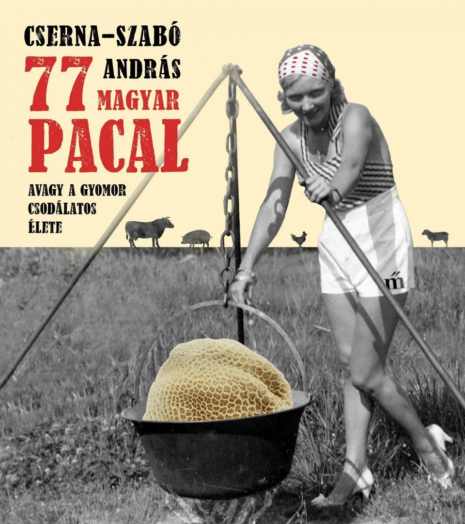 Cserna-Szabó András - 77 magyar pacal [antikvár]